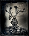 Collodion_Bouquet vase Cu 72